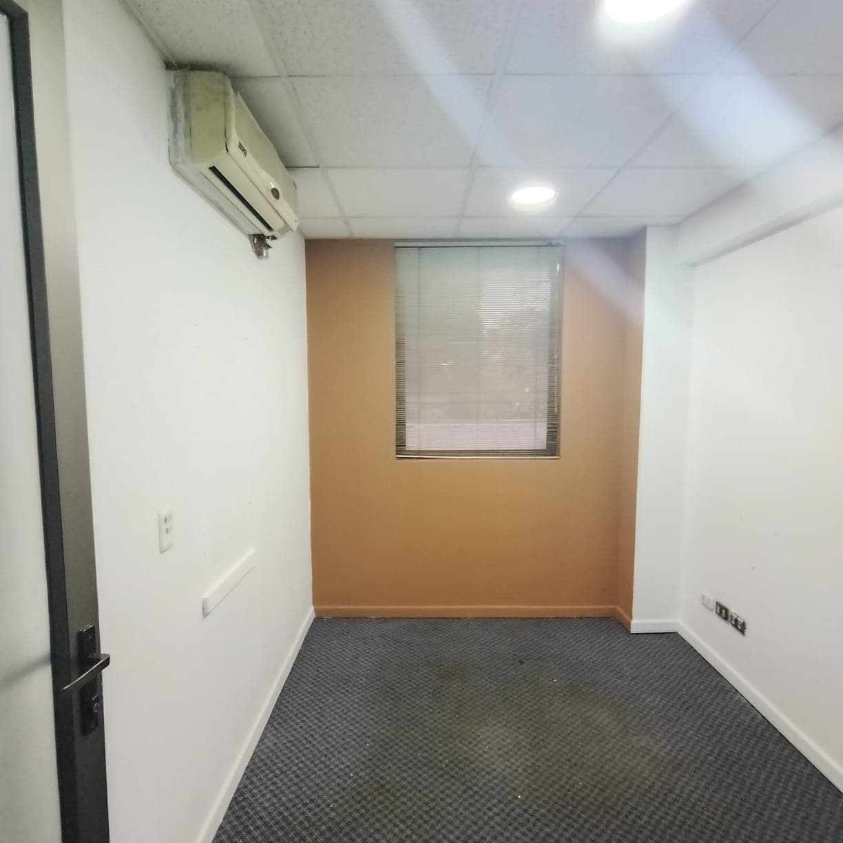 Espacio 6A — Francisco Noguera 201